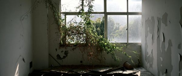 Wide, empty room with natural light, perfect for a workout.